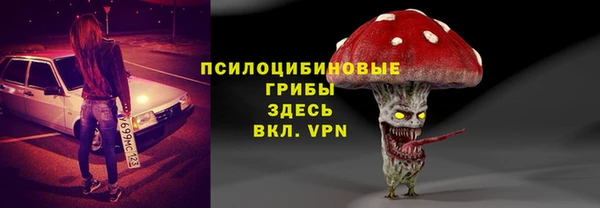 метадон Инсар