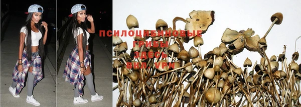 трава Алексеевка