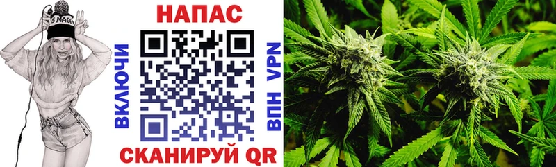 Бошки Шишки конопля  где найти наркотики  Аркадак 